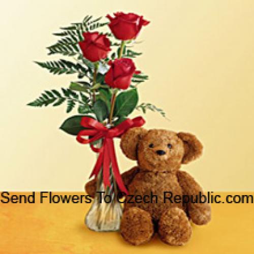 3 Red Roses with 12 Inch Teddy