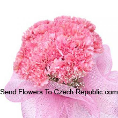 Cute 25 Pink Carnations