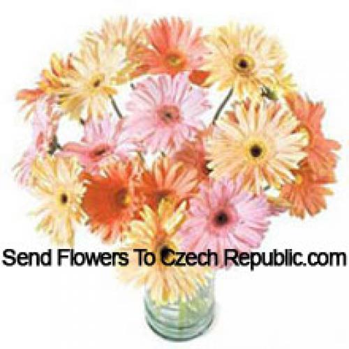 25 Fancy Assorted Gerberas