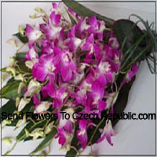 Cute Orchids Bunch